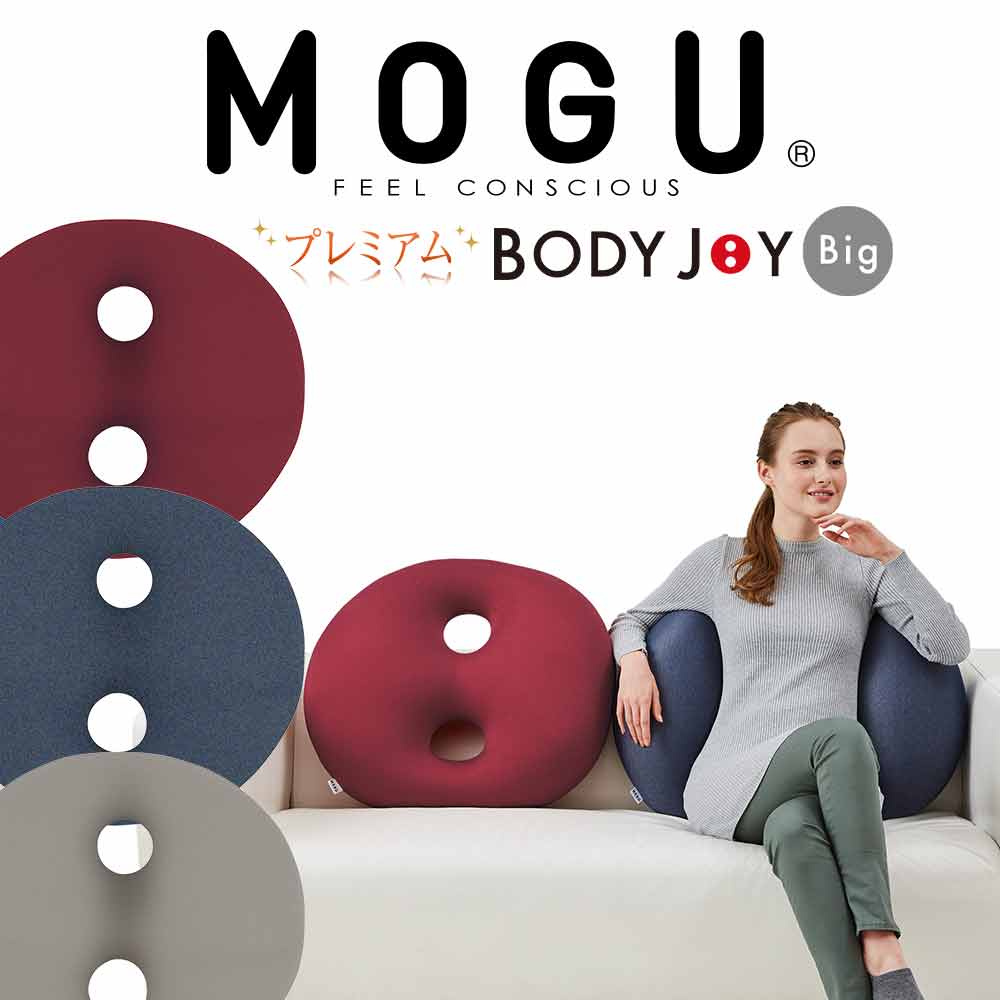 MOGU(R) PREMIUM HOLE PILLOW NAVY