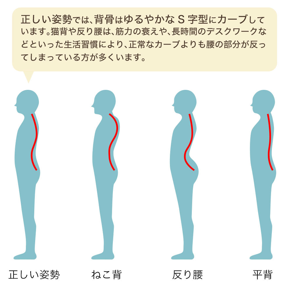 腰 枕 反り 腰 トップ