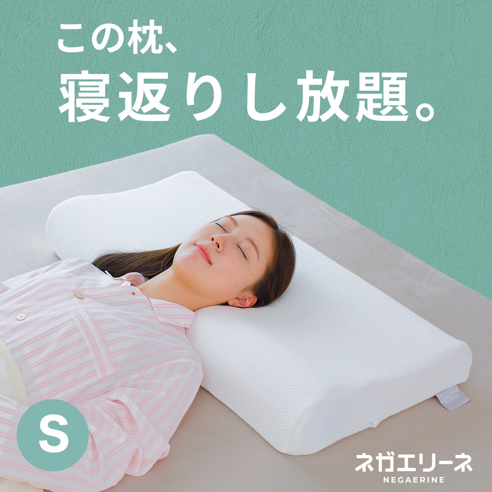日光籠6個 6羽用寝箱 日光籠6個 6羽用寝箱【ブランド公式通販】