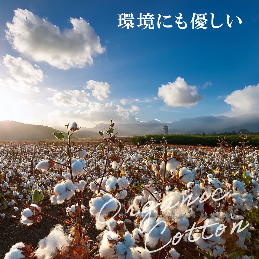 The moufu（ザ･毛布）プレミアム オーガニック コットン