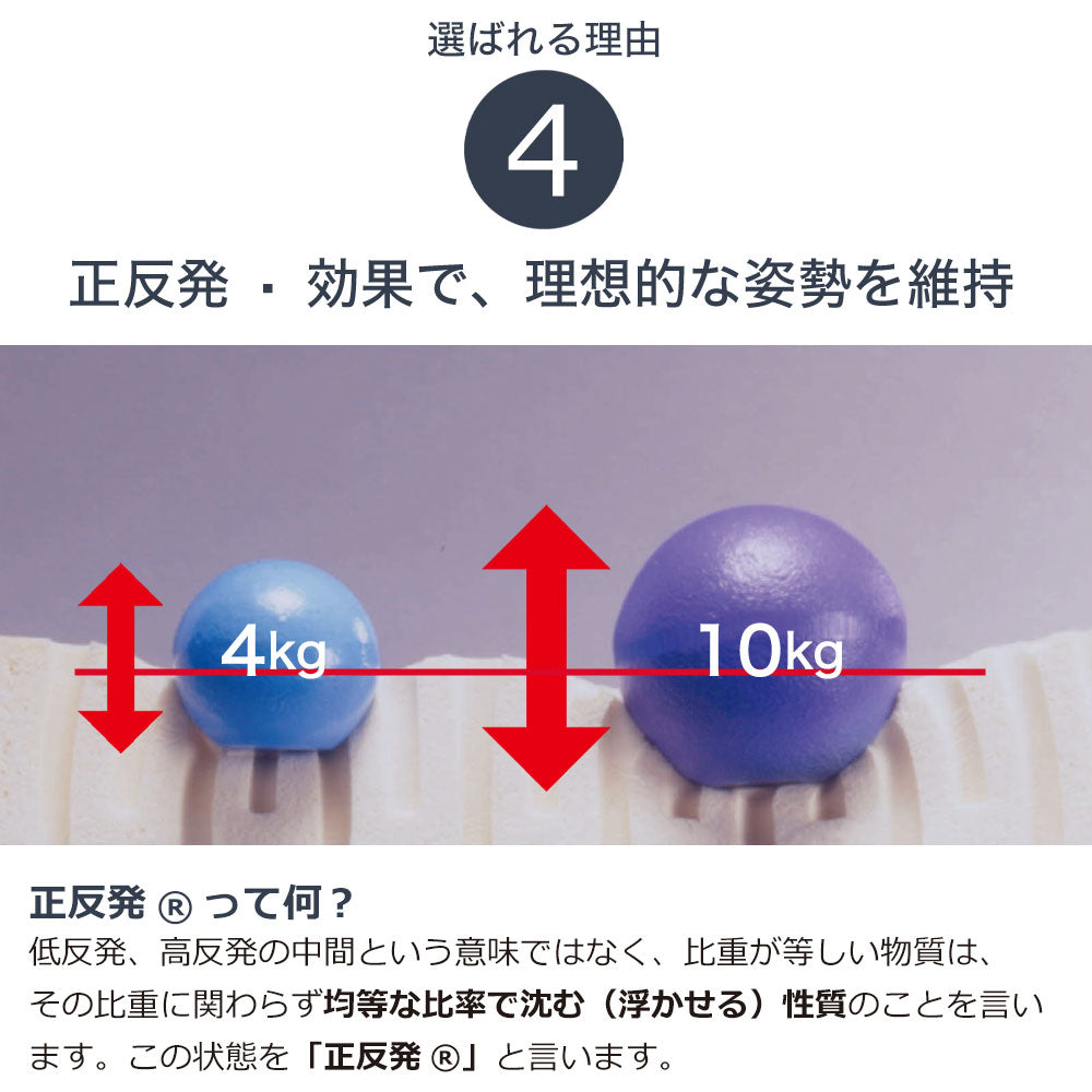 ボディドクター ザ・シート×バックアップのセット