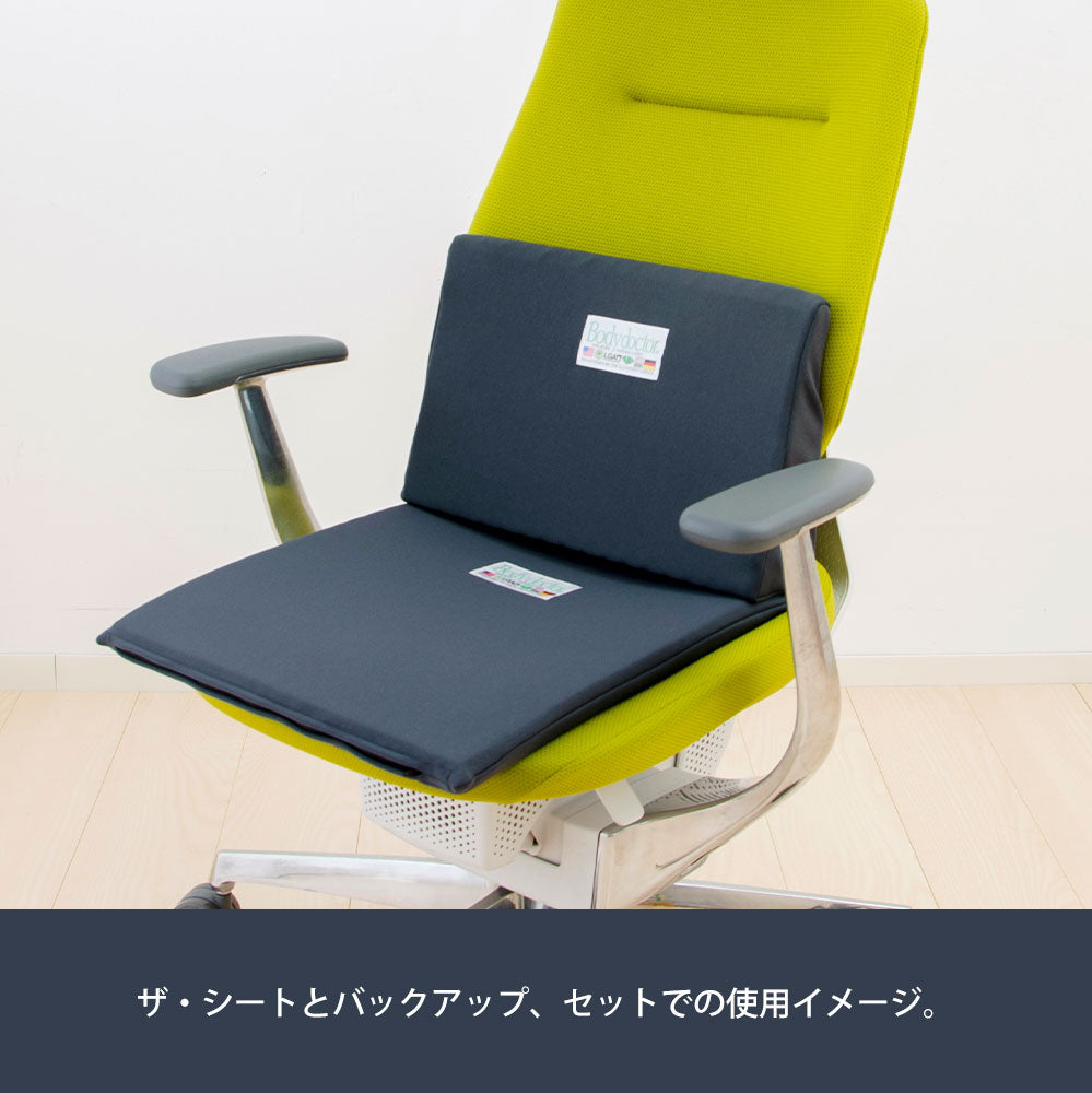 ボディドクター ザ・シート×バックアップのセット