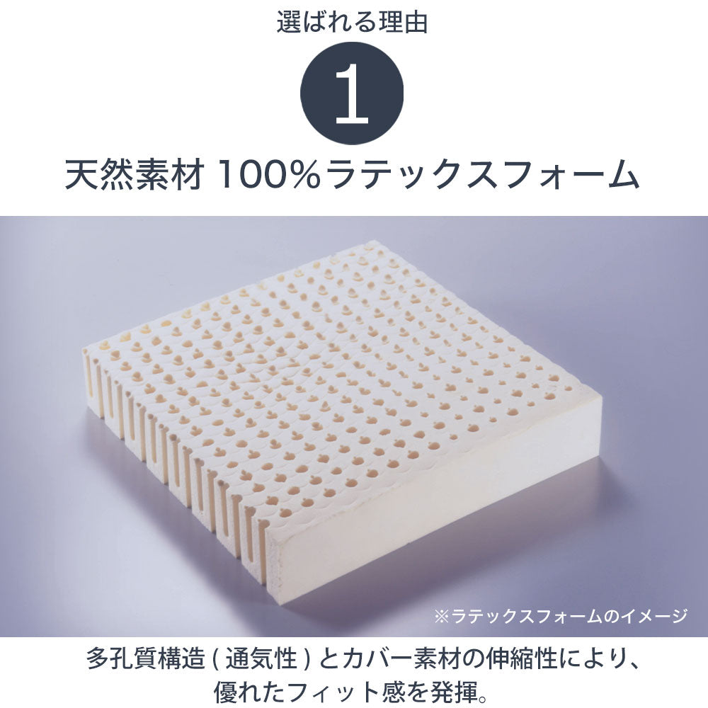 ボディドクター ザ・シート×バックアップのセット