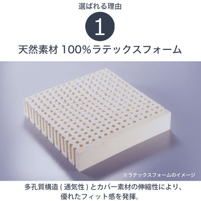 ボディドクター ザ・シート×バックアップのセット