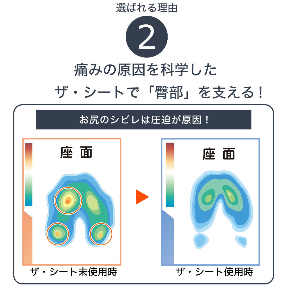 ボディドクター ザ・シート×バックアップのセット