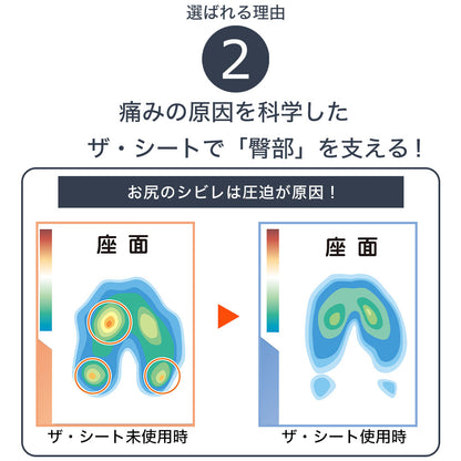 ボディドクター ザ・シート×バックアップのセット