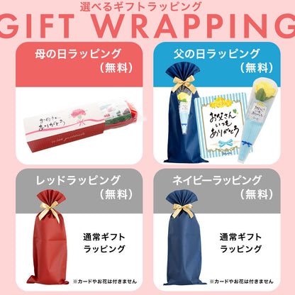 王様の足枕 レディース