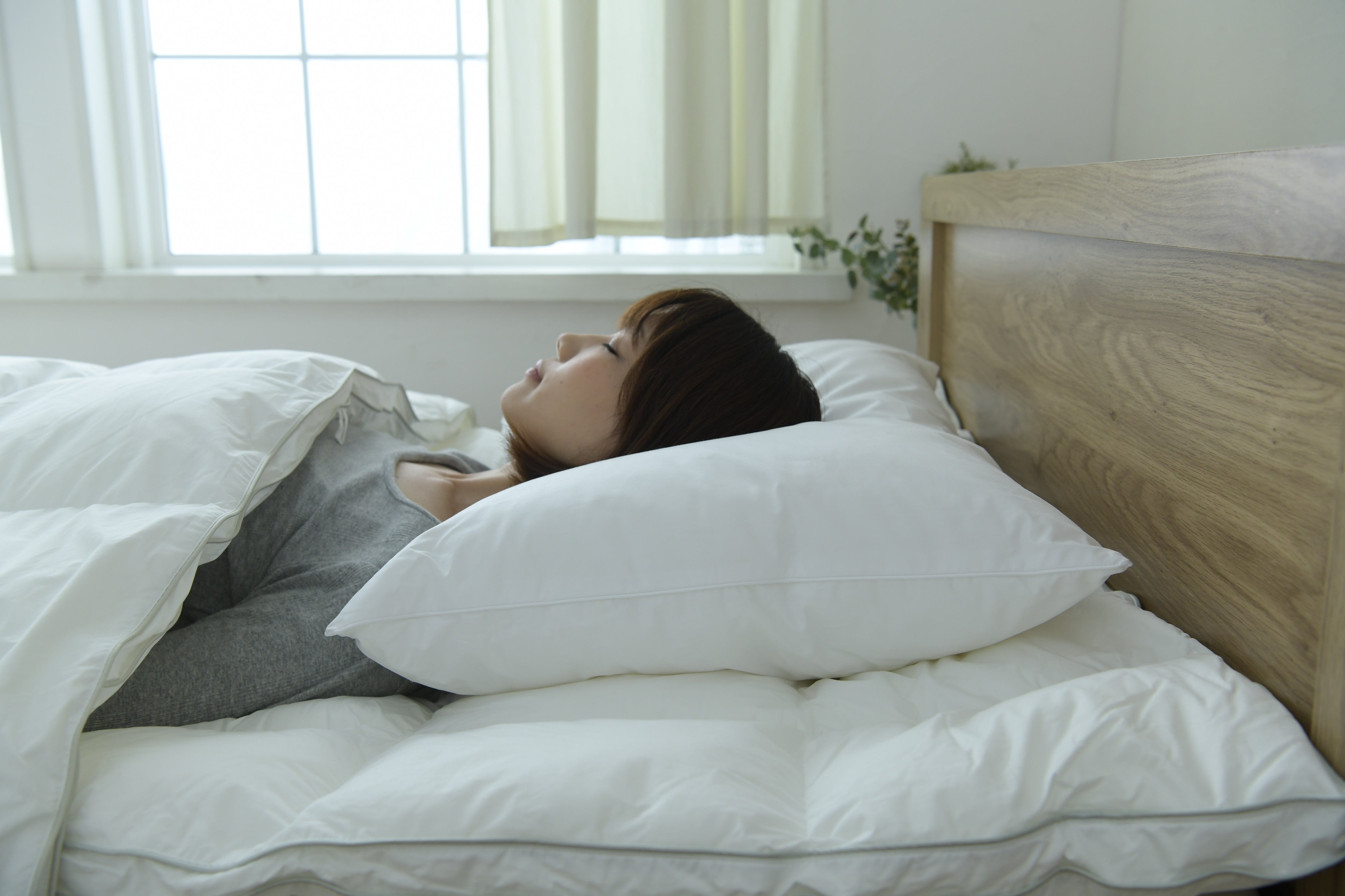 ラヴァサン ピロー – 枕と眠りのおやすみショップ！本店