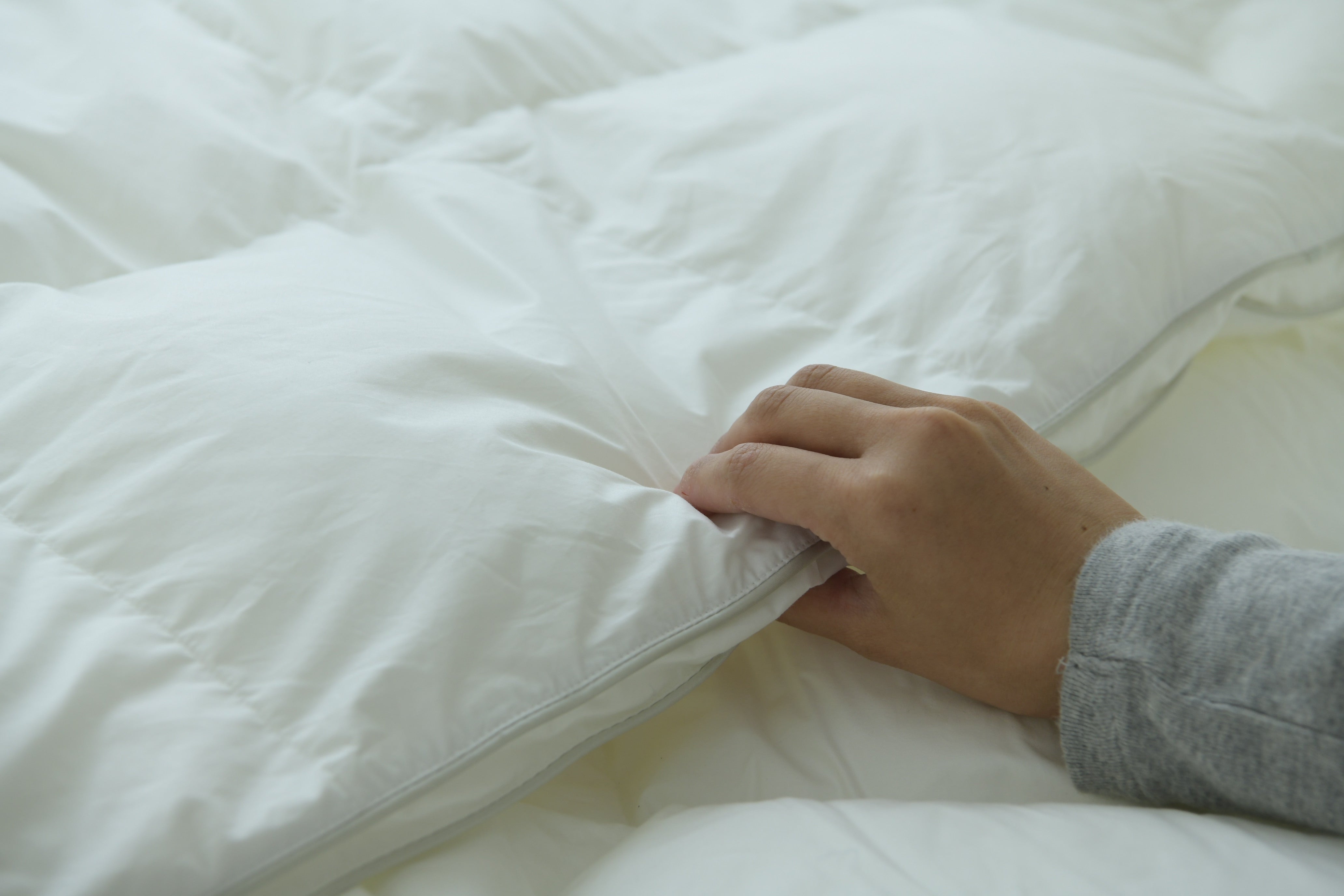 Danfill フィベール 掛布団 – 枕と眠りのおやすみショップ！本店