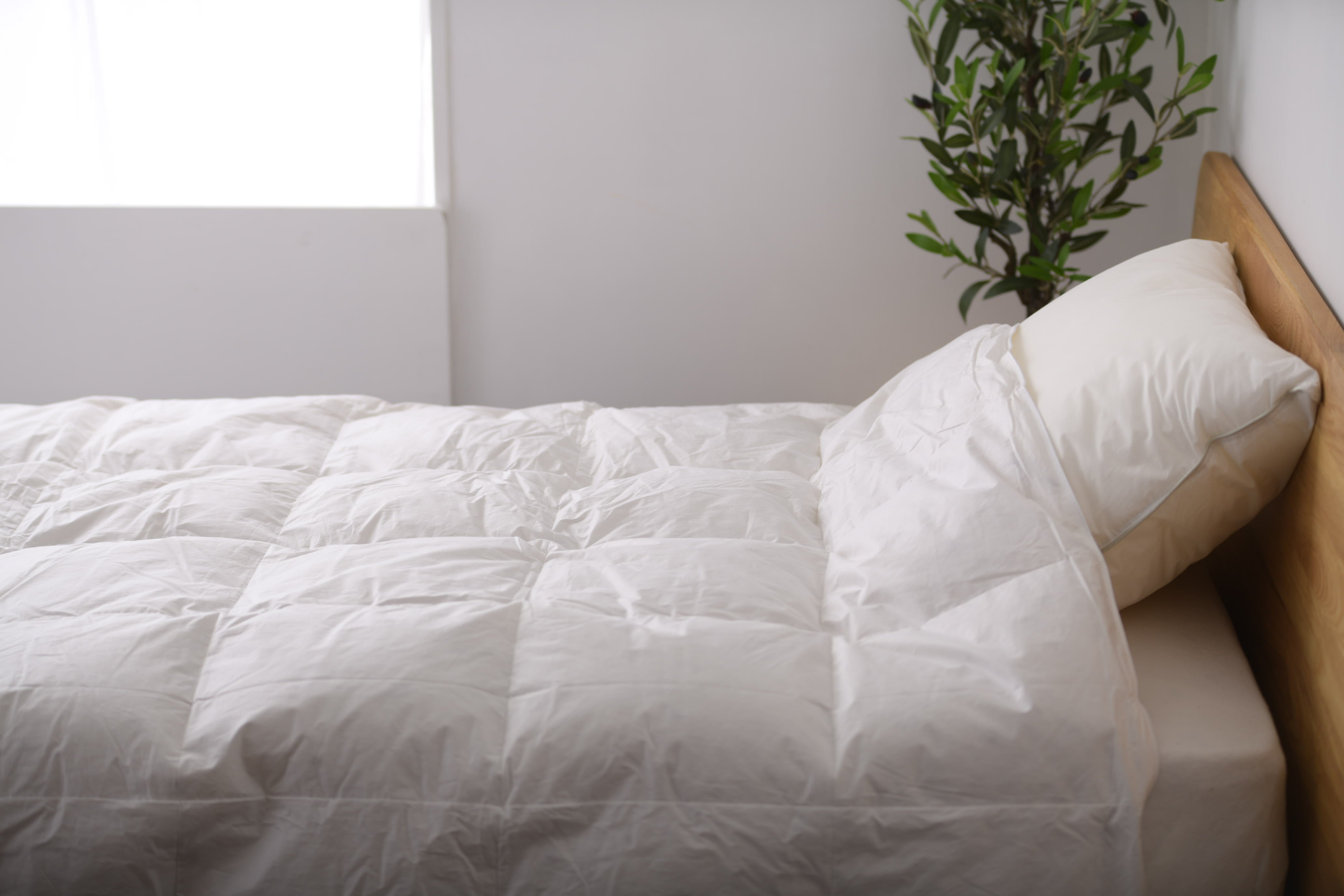 Ringsted Royal（リングステッド・ロイヤル） 肌掛羽毛布団 – 枕