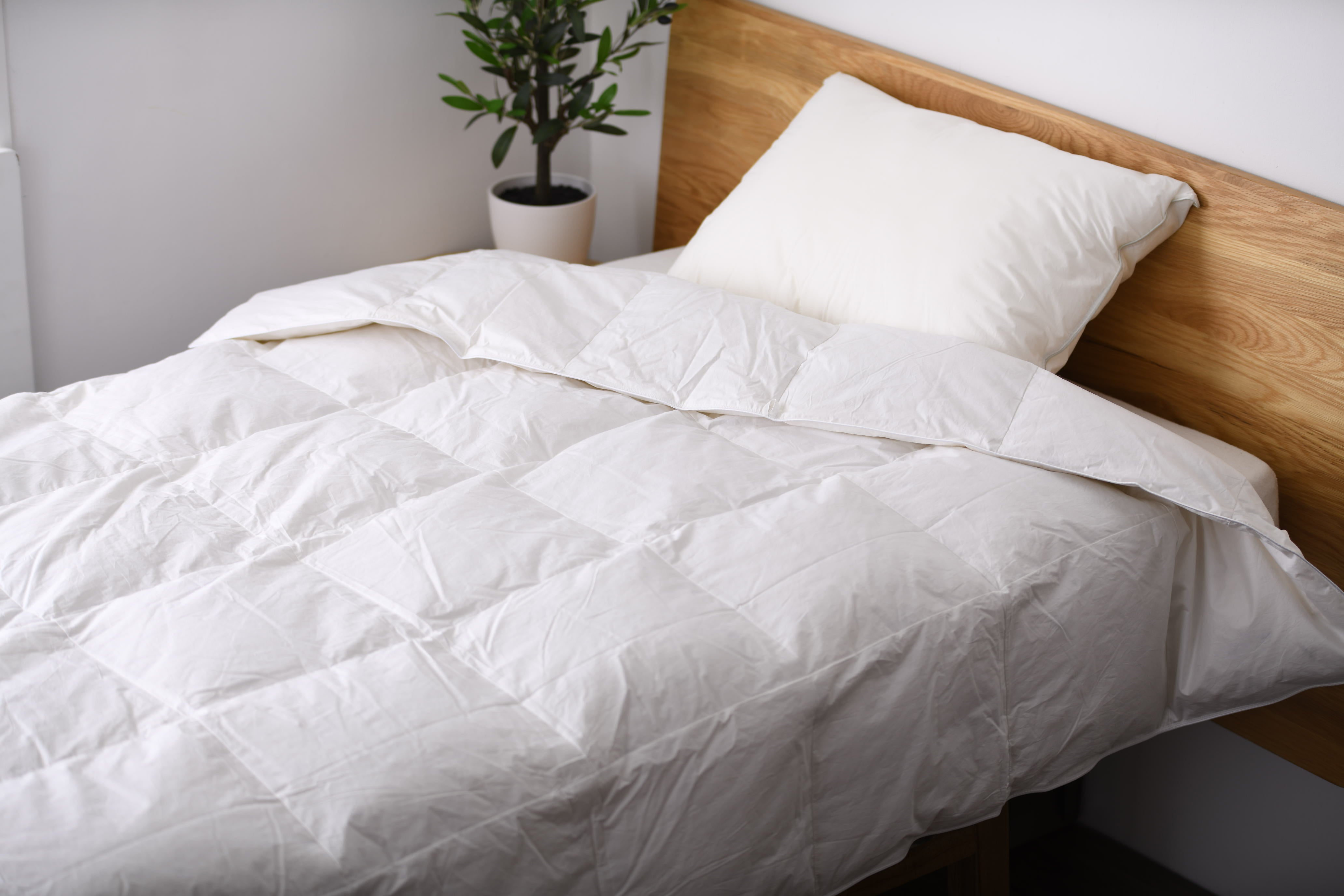 未使用　RINGSTED DUN リングステッド ダン　羽毛掛け布団　シングル 171422790.jpg?cmsp_timestamp=