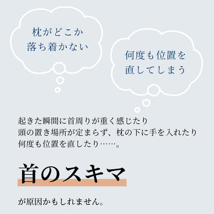 ビラベック テラピィー（専用枕カバー2枚付）