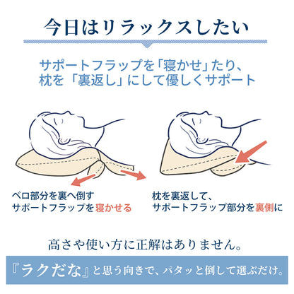 ビラベック テラピィー（専用枕カバー2枚付）