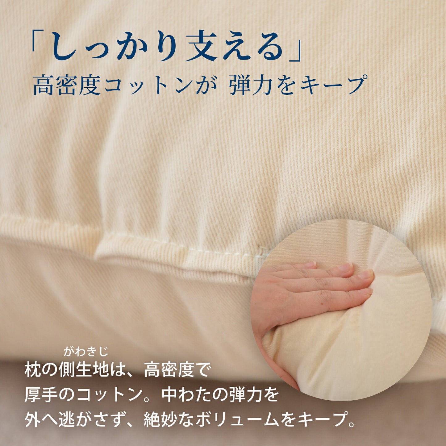 ビラベック テラピィー（専用枕カバー2枚付）