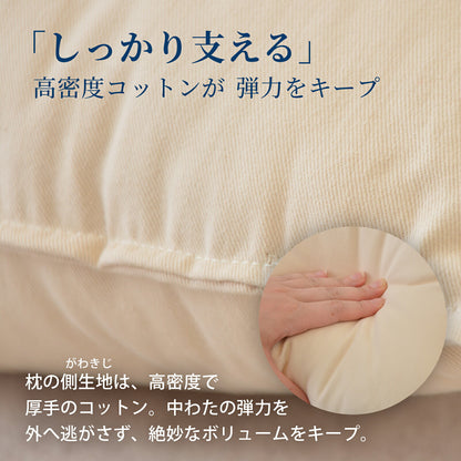 ビラベック テラピィー（専用枕カバー2枚付）