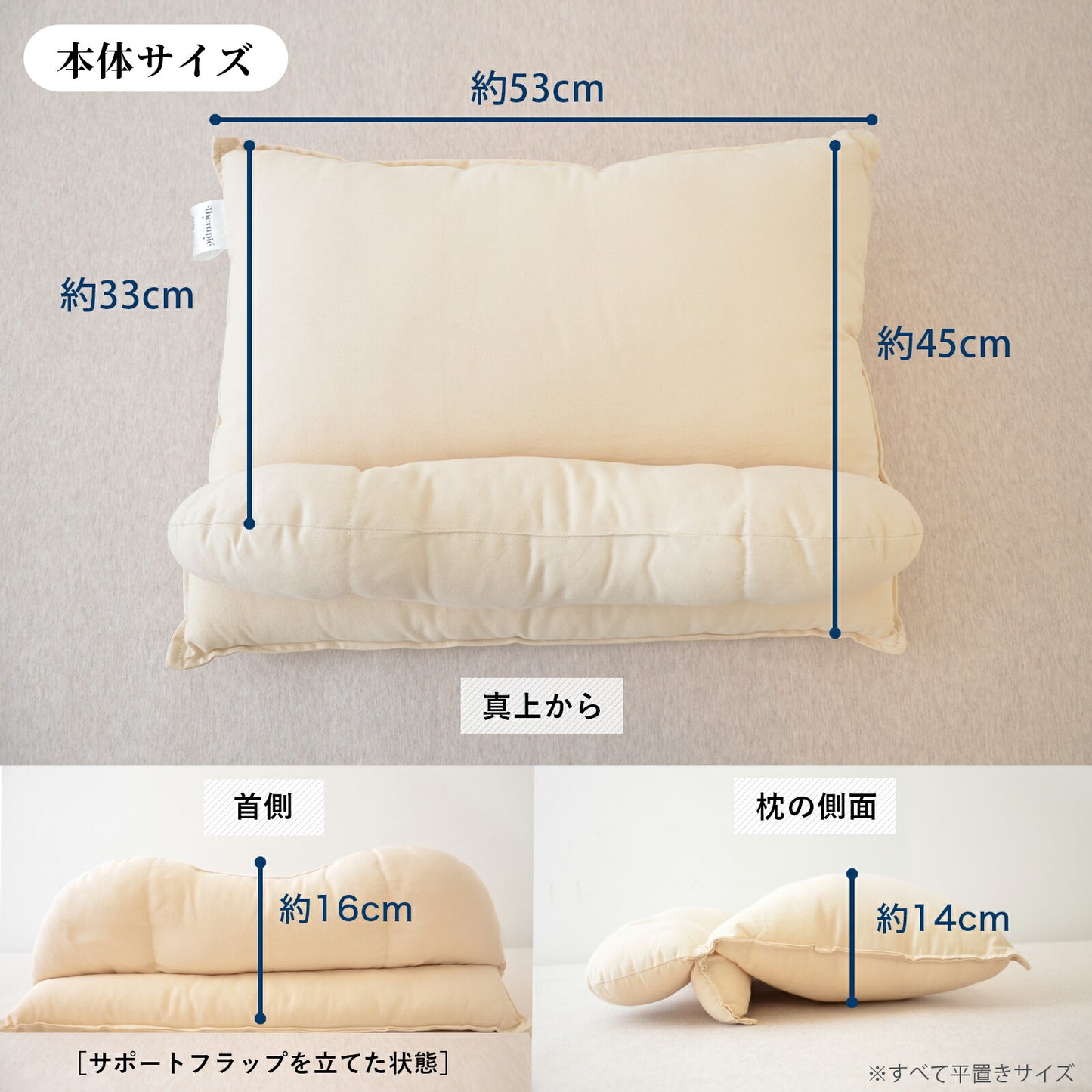 ビラベック テラピィー（専用枕カバー2枚付）