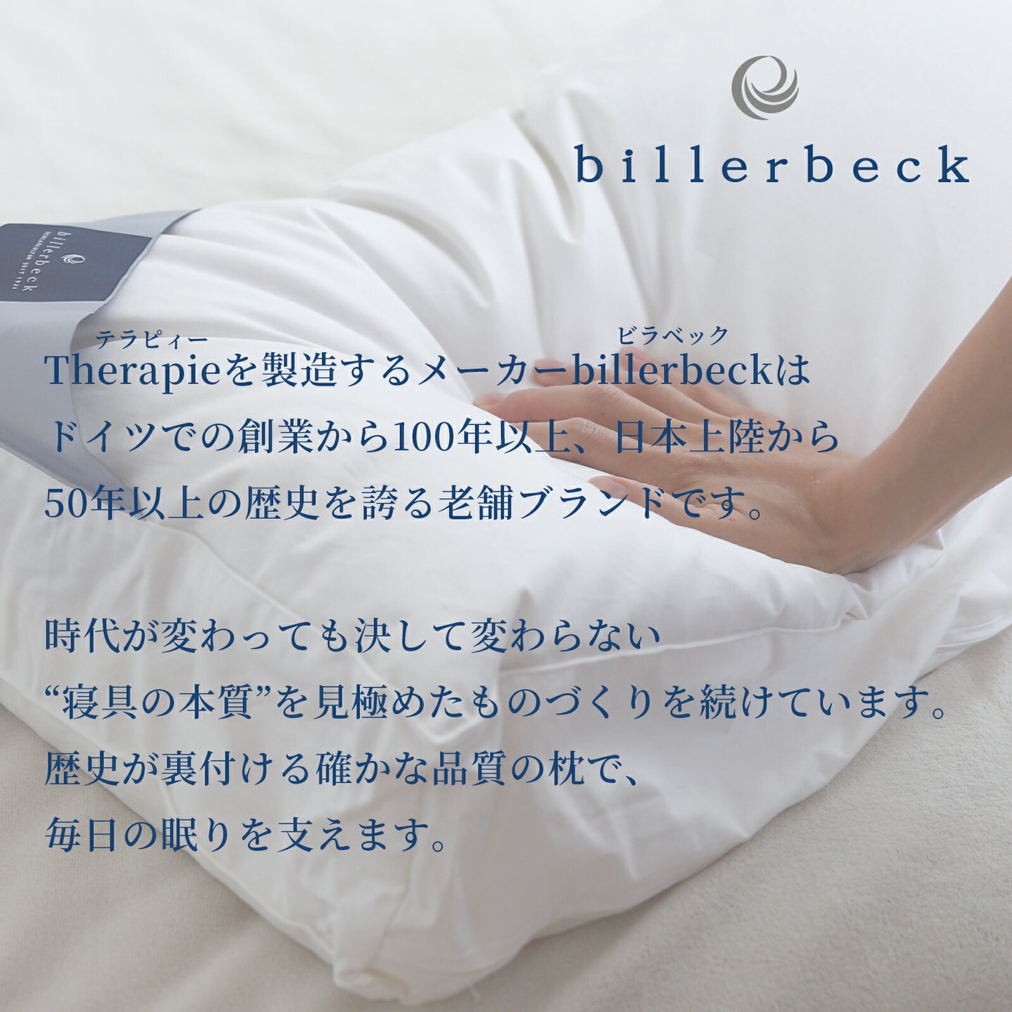 ビラベック テラピィー（専用枕カバー2枚付）