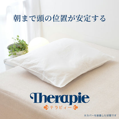 ビラベック テラピィー（専用枕カバー2枚付）