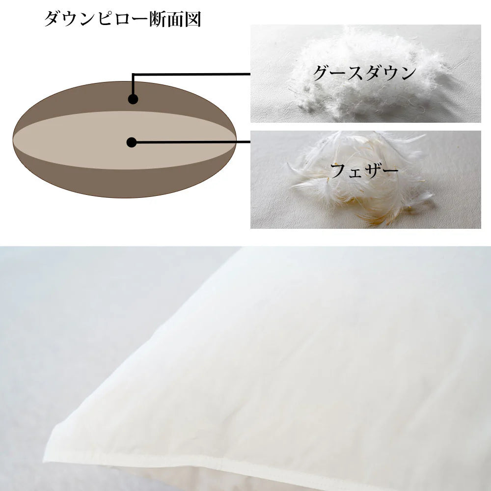 billerbeck ダウンピロー（スイスドリームピロー50）【レンタル専用】