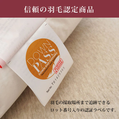 billerbeck ダウンピロー（スイスドリームピロー50）【レンタル専用】