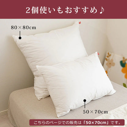 billerbeck ダウンピロー（スイスドリームピロー50）【レンタル専用】