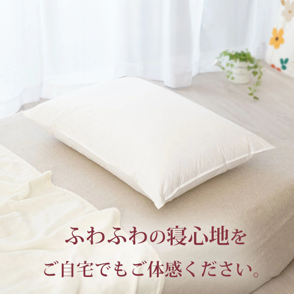 billerbeck ダウンピロー（スイスドリームピロー50）【レンタル専用】