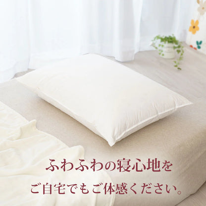 billerbeck ダウンピロー（スイスドリームピロー50）【レンタル専用】