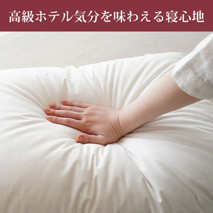 billerbeck ダウンピロー（スイスドリームピロー50）【レンタル専用】