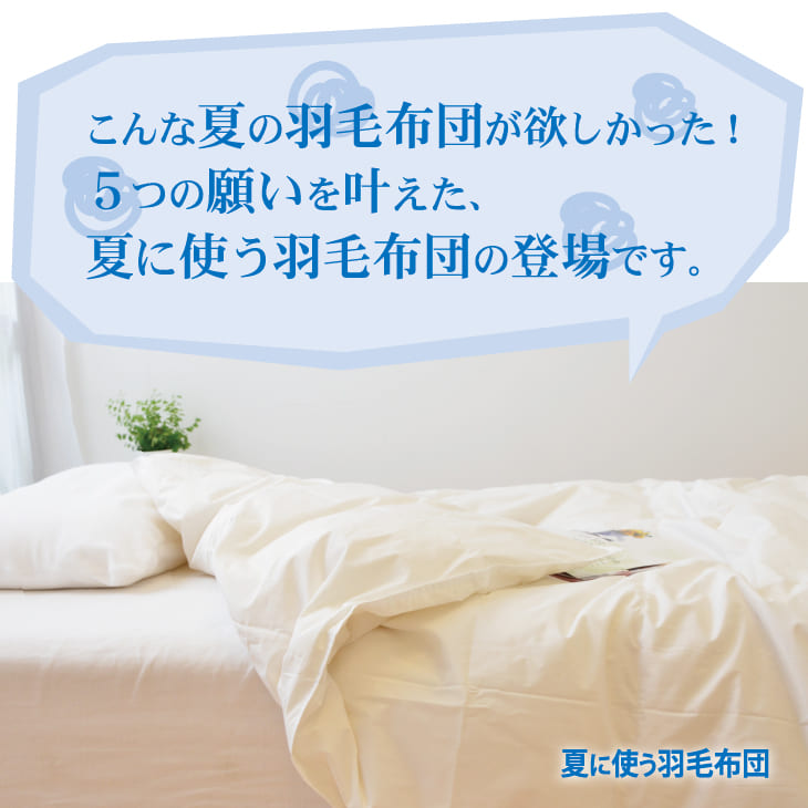 羽毛布団 クイーンサイズ 夏に使う羽毛布団 ニューゴールドラベル – 枕