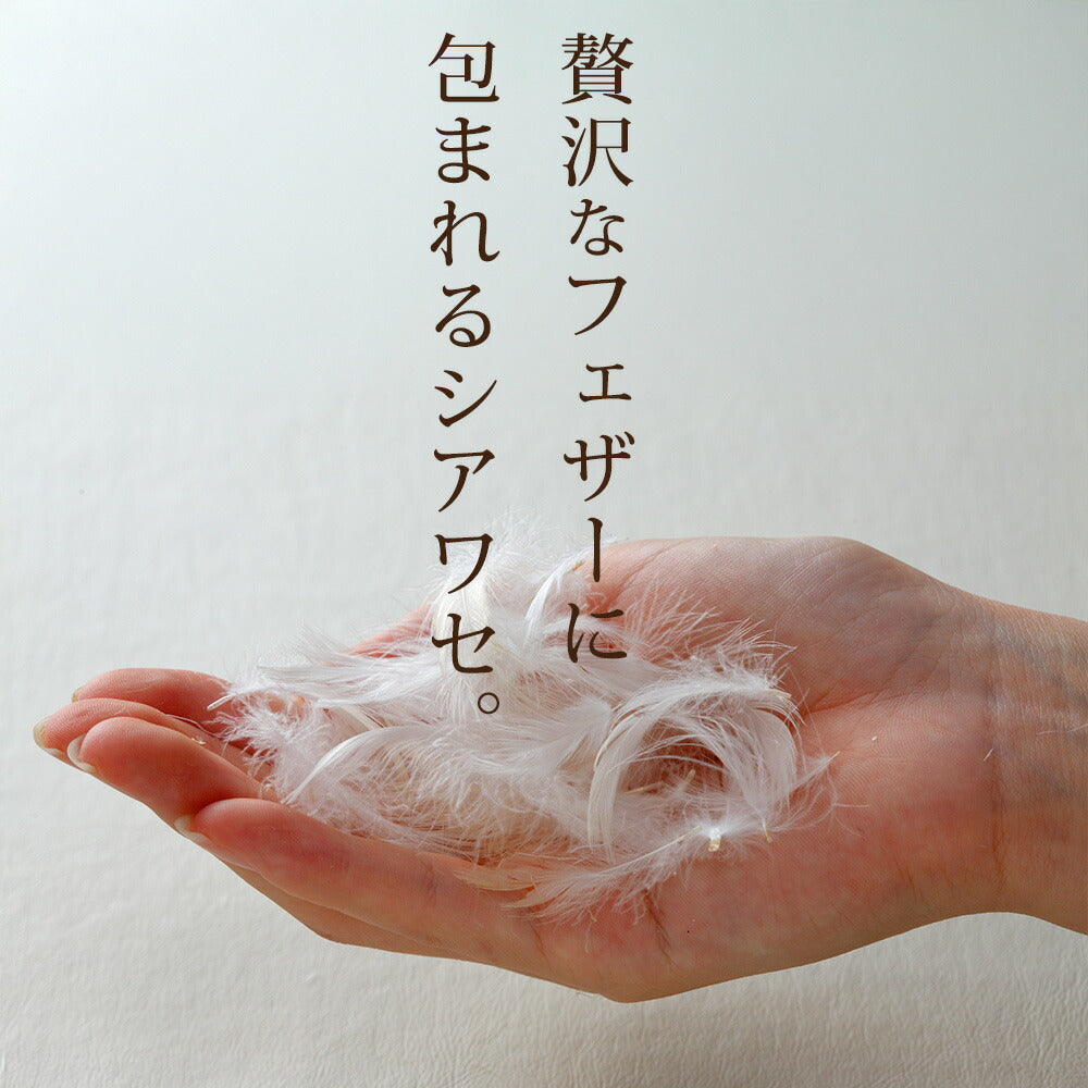 ザ・羽根枕【レンタル専用】
