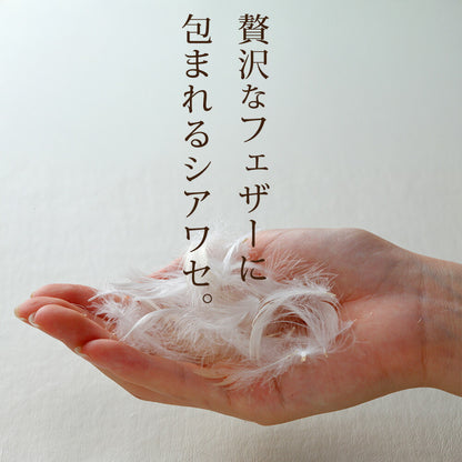 ザ・羽根枕【レンタル専用】