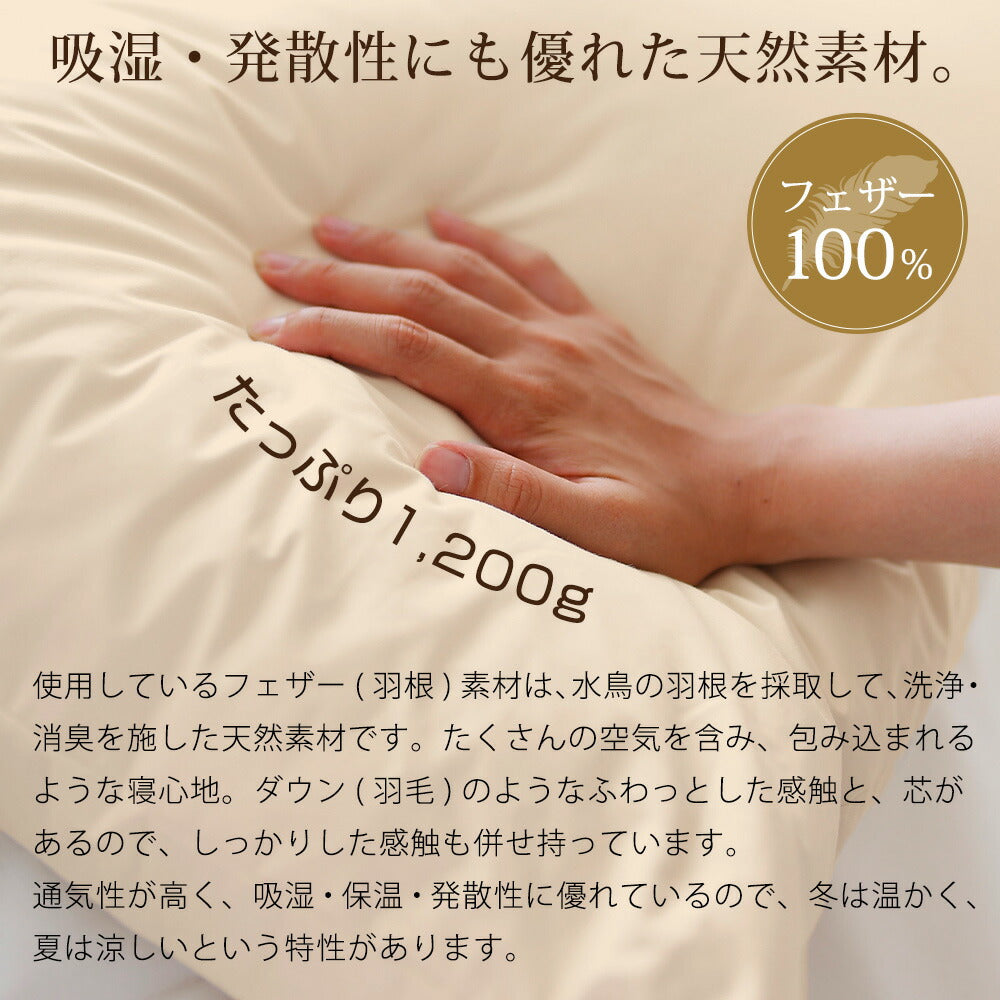 ザ・羽根枕【レンタル専用】