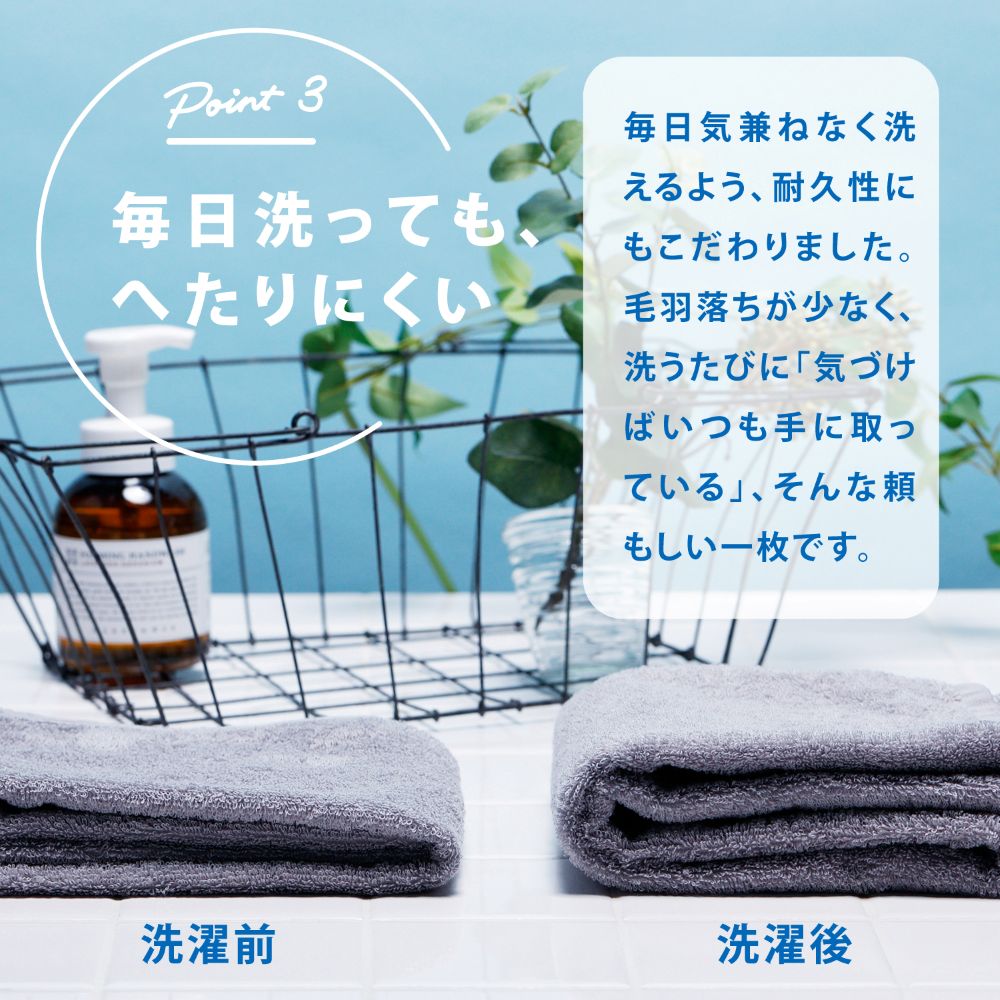 毎日タオル フェイスタオル 34×80cm
