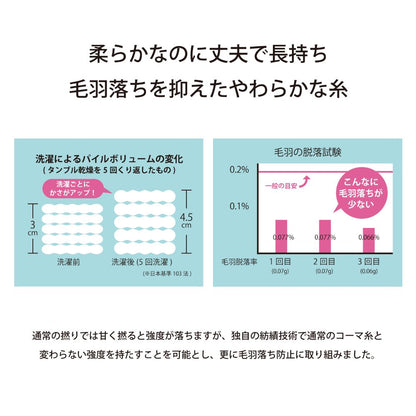 毎日タオル フェイスタオル 34×80cm