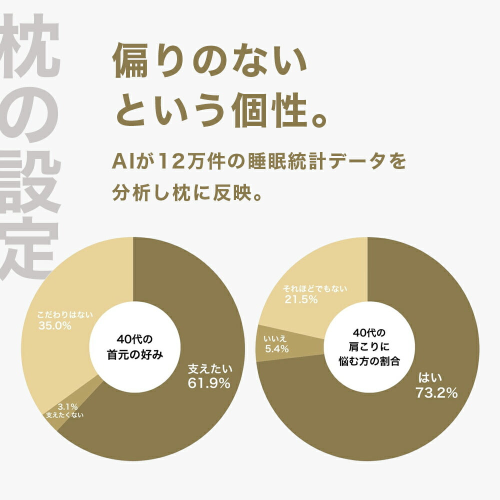 40代向けの枕 THE PILLOW Preset 19 40s