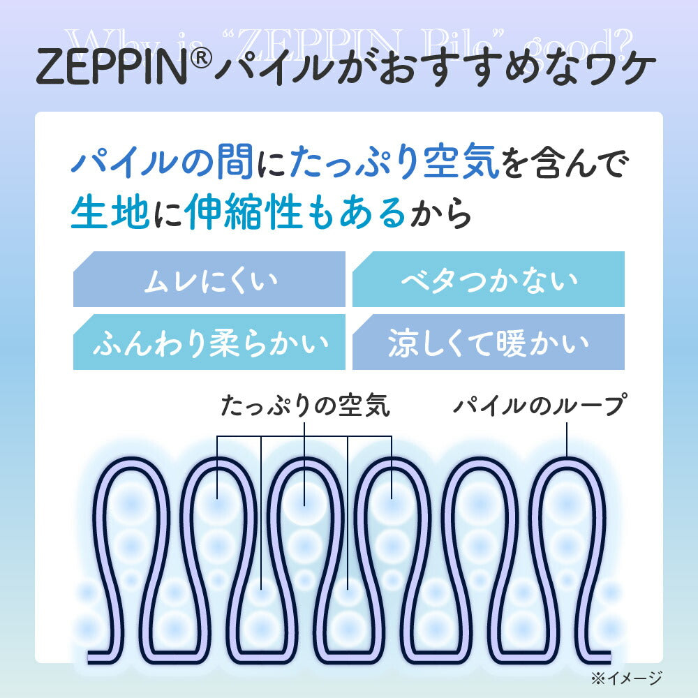 ZEPPIN パイル 3点セット