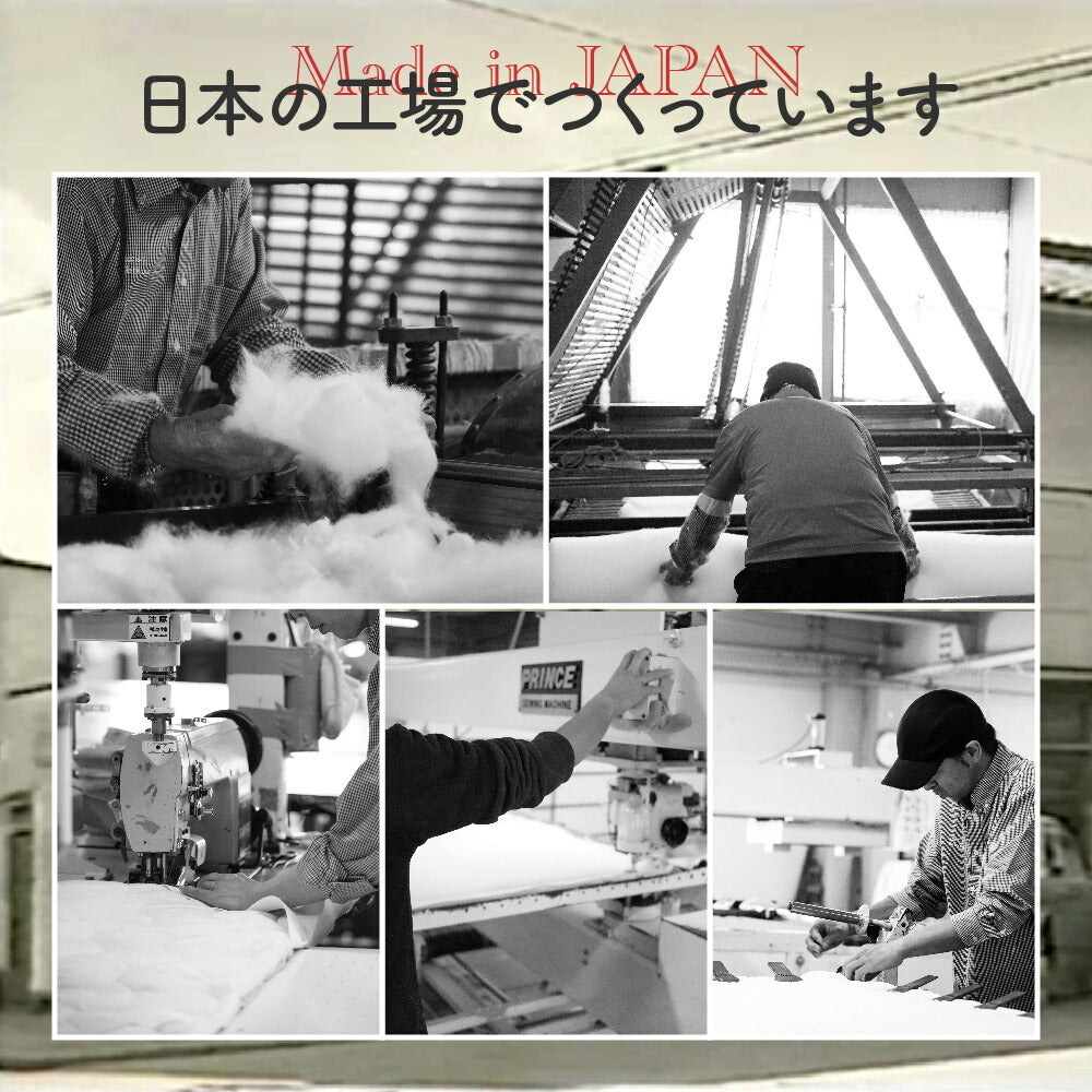 ZEPPIN パイル 3点セット