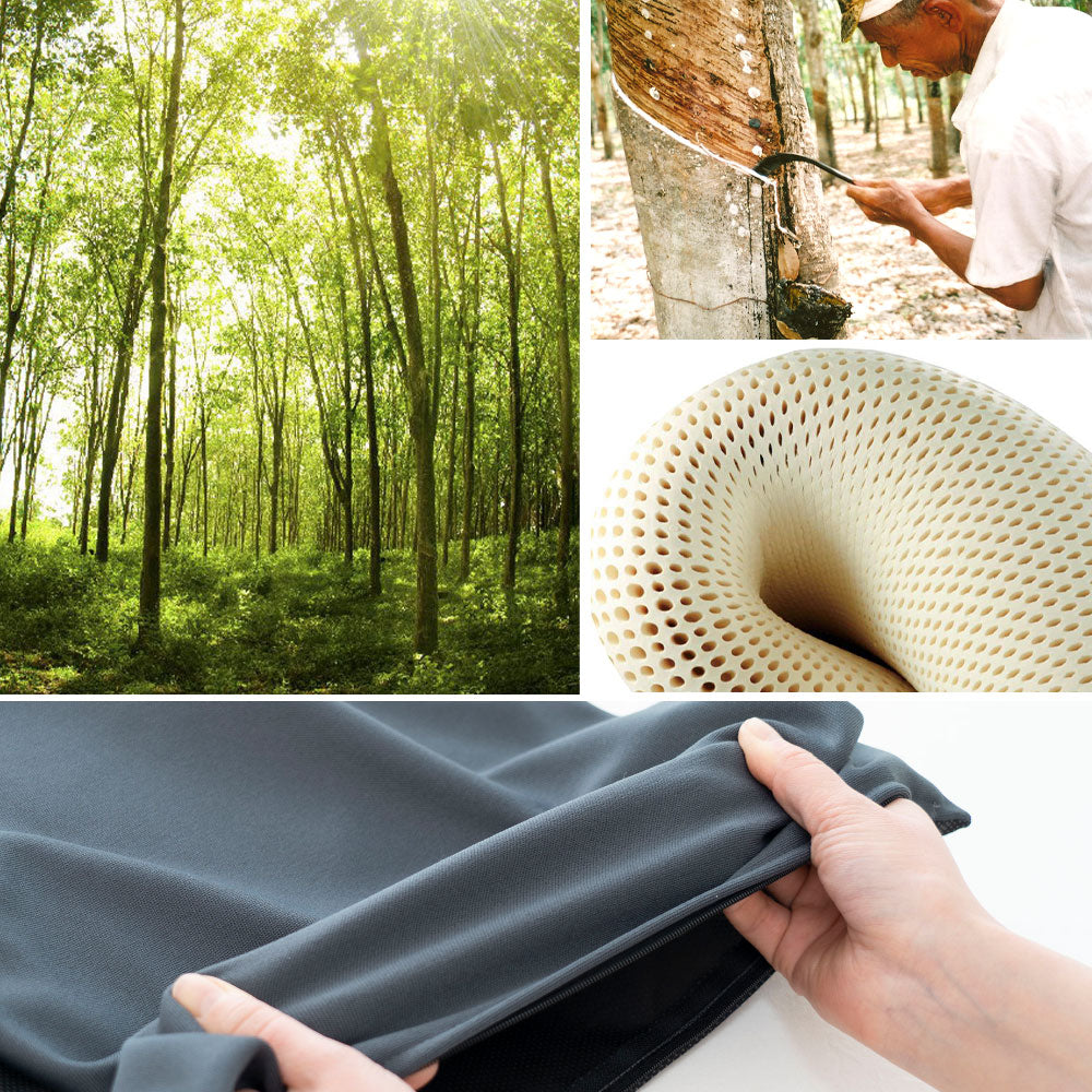 ボディドクター バックアップ