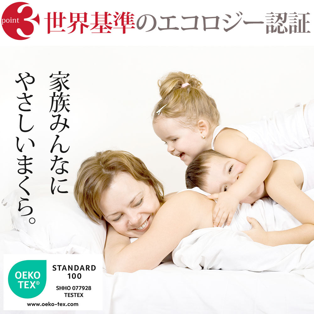 Danfill（ダンフィル） Fibelle（フィベール） クッションピロー 60×60
