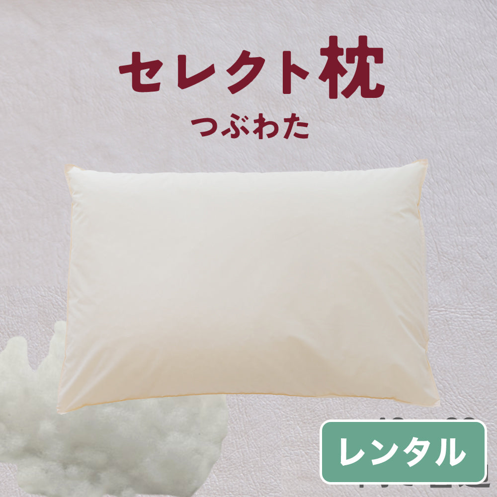 セレクト枕  つぶわた 標準形【レンタル専用】