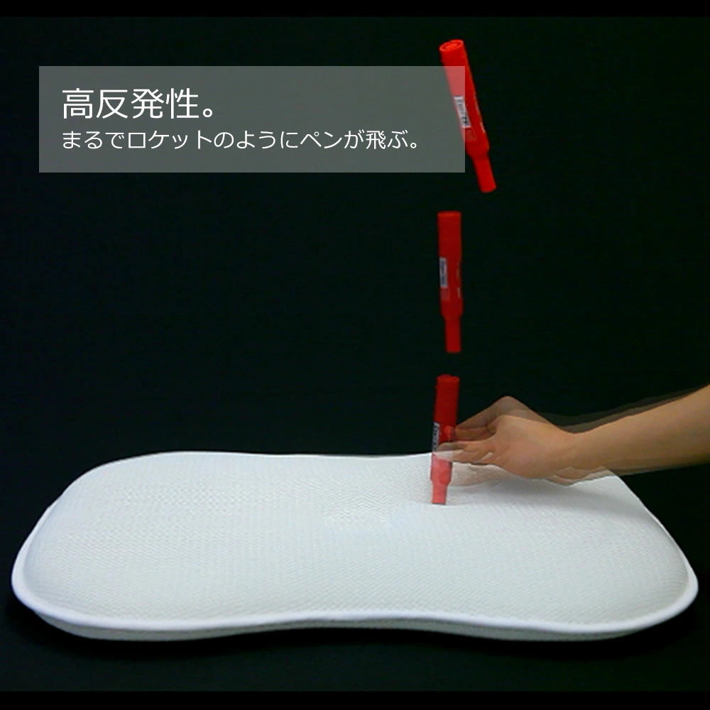 THE EARTH PILLOW（アースピロー）【レンタル専用】