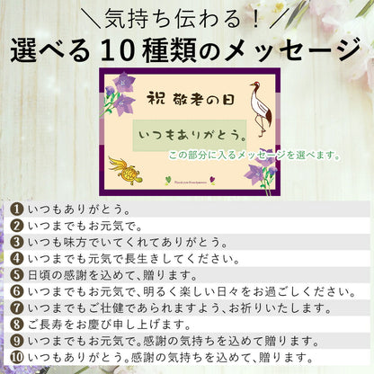 敬老の日まくら（おばあちゃん向け）