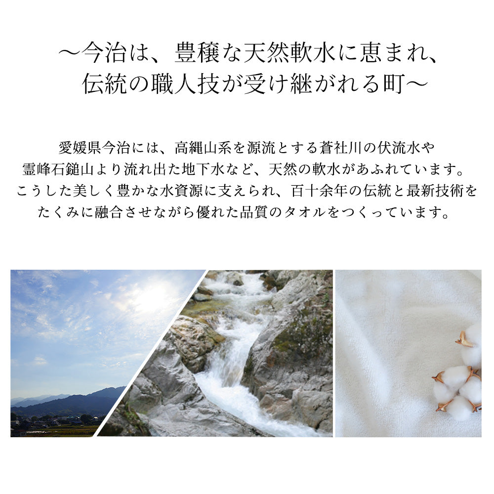 iimin 今治タオル毛布シングルサイズ