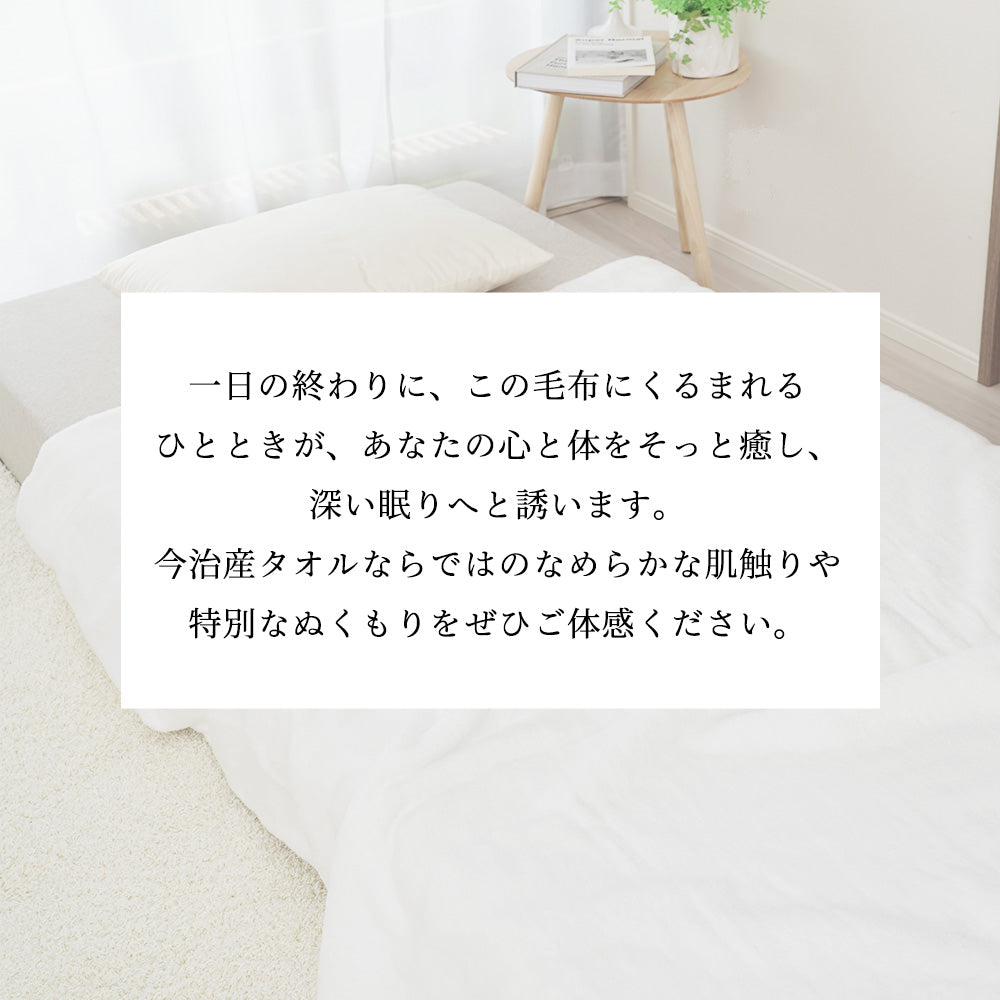 iimin 今治タオル毛布シングルサイズ