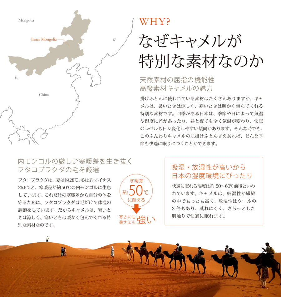 ふんわりキャメル 肌掛け布団