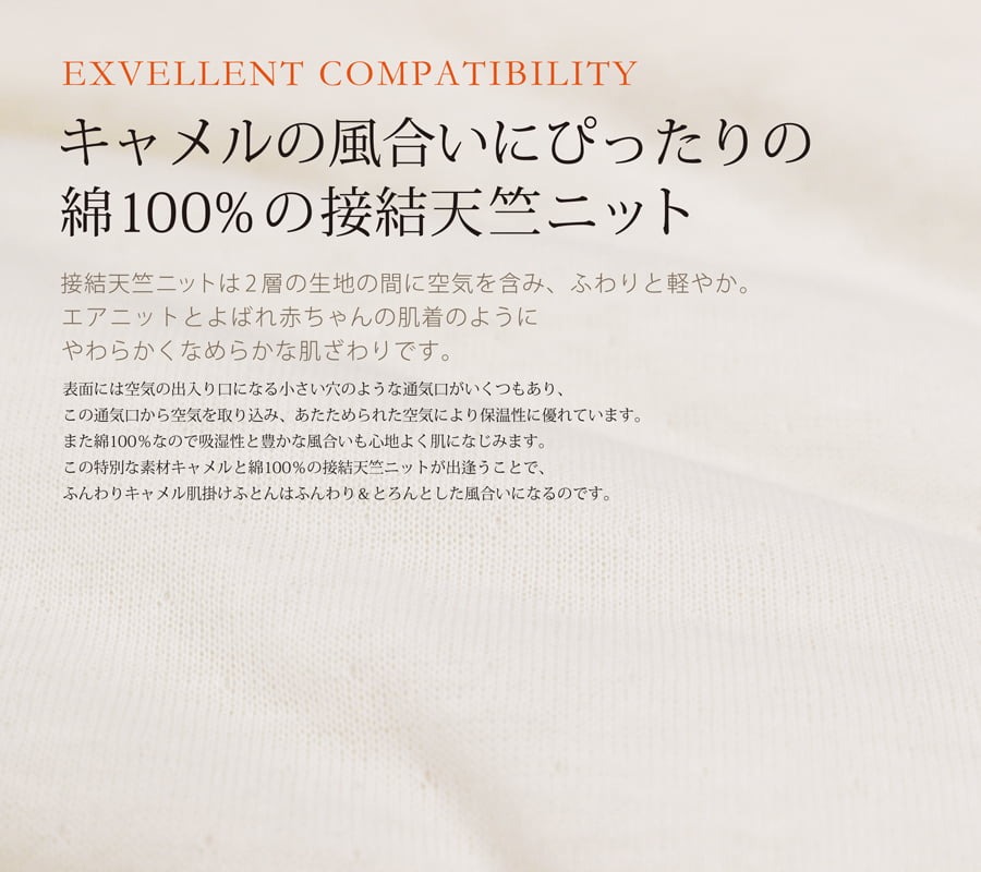 ふんわりキャメル 肌掛け布団