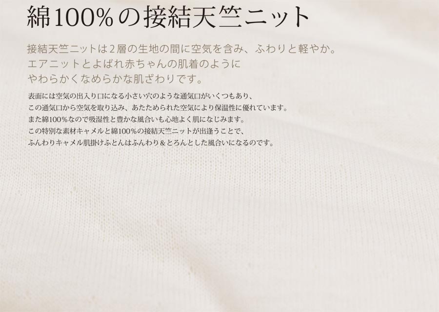 ふんわりキャメル 掛け布団カバー