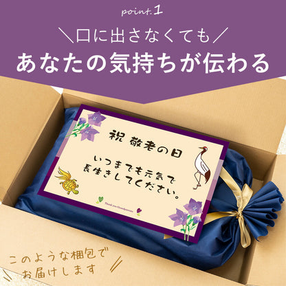 敬老の日まくら（おじいちゃん向け）
