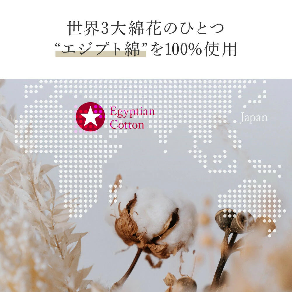 PLATINUM COTTON 掛け布団カバー プラチナコットン