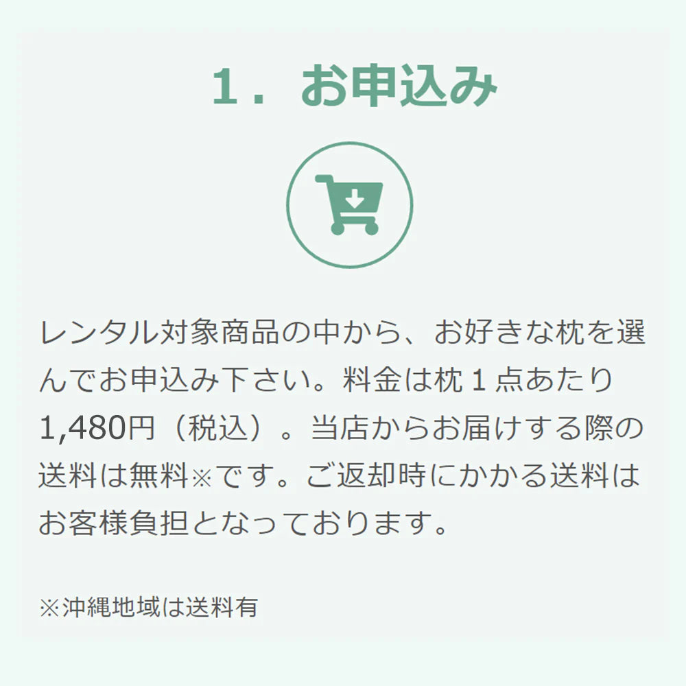 王様の抱き枕「標準サイズ＆Lサイズ」サイズ別 お試し2点セット【レンタル専用】